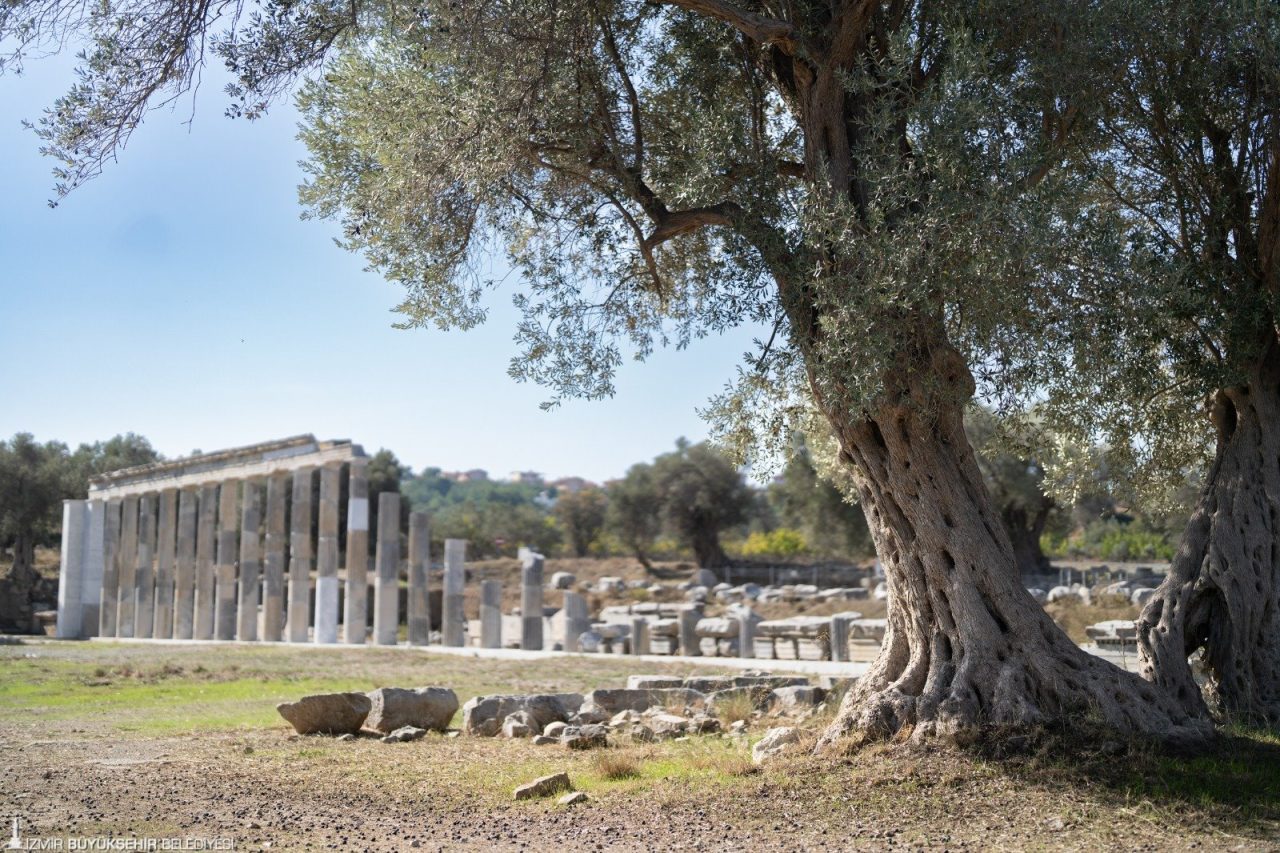 Teos’un taşları 2 bin 200 yıllık tarihi gün yüzüne çıkarıyor İzmir’in Seferihisar ilçesindeki Teos Antik Kenti’ndeki meclis binasında yaklaşık 2